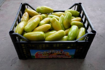Foto San Marzano Verde Origine Italia Marchio Pallavicino 1