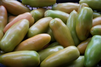 Foto San Marzano Verde Origine Italia Marchio Pallavicino 2