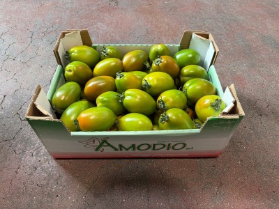 Foto Nerina Lavorazione In Cartone Origine Italia Marchio Amodio  1