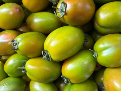 Foto Nerina Lavorazione In Cartone Origine Italia Marchio Amodio  2