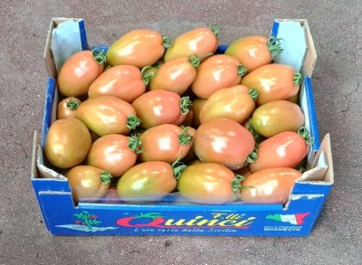 Foto Nerina Origine Italia Marchio Quinci  1