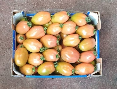 Foto Nerina Origine Italia Marchio Quinci  3