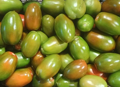 Foto Pomodori Nerina Lavorazione In Plastica  Origine Italia   Marchio Fresh 2