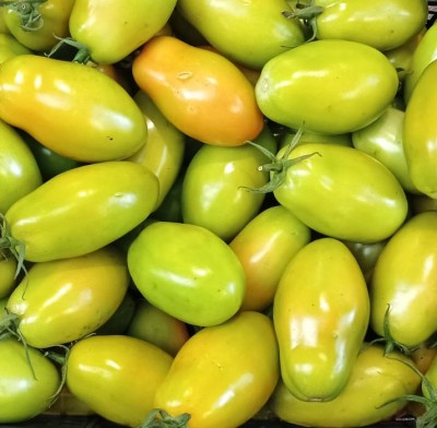 Foto Pomodoro Nerina Origine Italia Marchio Boscarino  2