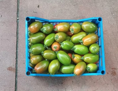 Foto Nerina Origine Italia Marchio Iozzia 3