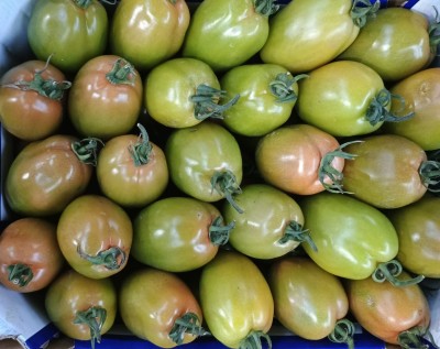 Foto Pomodoro Nerina Origine Italia Marchio M Tre  2