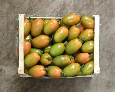 Foto Pomodoro Nerina Origine Italia Marchio Alesci 3