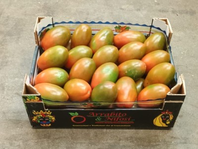 Foto Nerina Origine Italia Marchio Arrabito  1