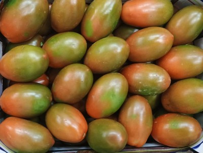 Foto Nerina Origine Italia Marchio Arrabito  2