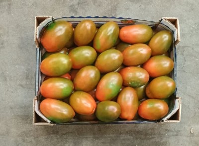 Foto Nerina Origine Italia Marchio Arrabito  3