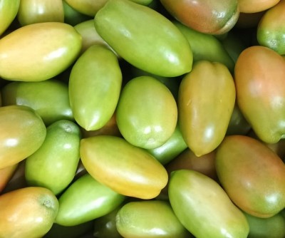 Foto Nerina Origine Italia Marchio Colle D'Oro 2