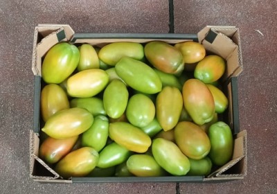 Foto Nerina Origine Italia Marchio Colle D'Oro 3