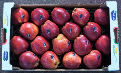 Foto Mele Varietà Stark Melinda Origine Italia Confezione Padella Calibro 80/85  3