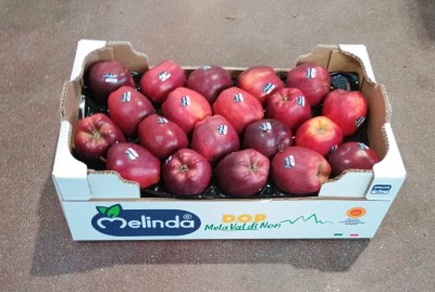 Foto Mele Stark Calibro 75/80  Lavorazione in Doppio Strato Origine Italia Marchio Melinda 1