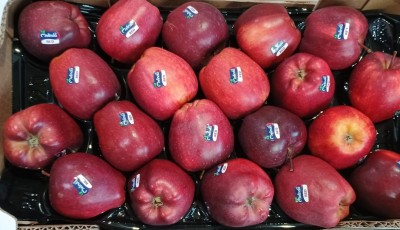 Foto Mele Stark Calibro 75/80  Lavorazione in Doppio Strato Origine Italia Marchio Melinda 2