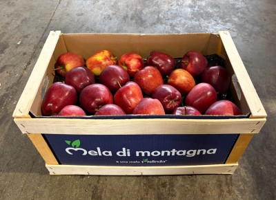 Foto Mele Stark Calibro 70/80 Origine Italia Marchio Montagna            1