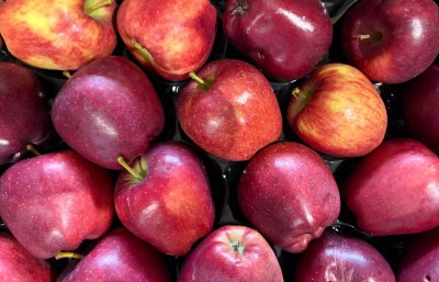 Foto Mele Stark Calibro 70/80 Origine Italia Marchio Montagna            2