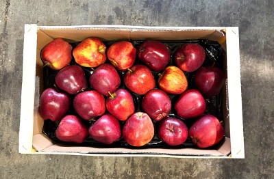 Foto Mele Stark Calibro 70/80 Origine Italia Marchio Montagna            3