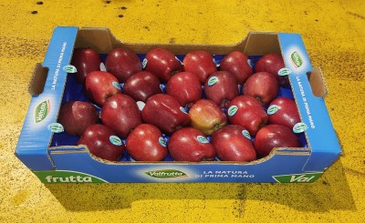 Foto Mele Stark Varietà Red Delicius Calibro 70/75 Origine Italia Marchio Valfrutta   1