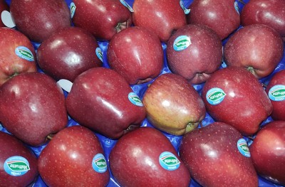 Foto Mele Stark Varietà Red Delicius Calibro 70/75 Origine Italia Marchio Valfrutta   2