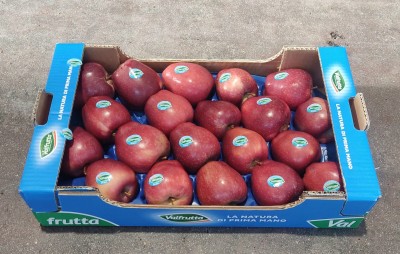 Foto Mele Stark Varietà Red Delicious Calibro 75/80 Origine Italia Marchio Valfrutta 1