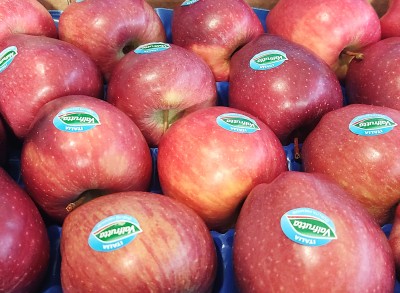 Foto Mele Stark Varietà Red Delicious Calibro 75/80 Origine Italia Marchio Valfrutta 2