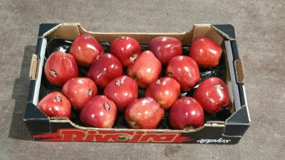 Foto Mele Stark Varietà Red Delicious Calibro 16 Origine Italia Marchio Rivoira 1