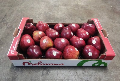 Foto Mele Stark Calibro 80/85 Origine Italia Marchio Melaroma     1