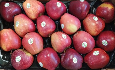 Foto mele Stark Varietà Red Delicius Calibro 80/85 Origine Italia Marchio Melaroma 2