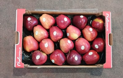 Foto mele Stark Varietà Red Delicius Calibro 80/85 Origine Italia Marchio Melaroma 3