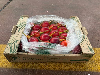 Foto Tamarindo Origine Colombia Marchio Mc Garlet        1