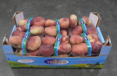 Foto Tabacchiere Varietà Chato Calibro AAA Origine Spagna Marchio Triolo  1