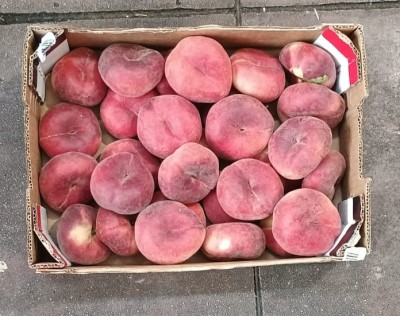 Foto Tabacchiere Varietà Babylone Calibro AA Origine Spagna Marchio La Coma  3