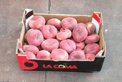 Foto Tabacchiere Varietà Bsbylone Calibro AAA Origine Spagna Marchio La Coma  1