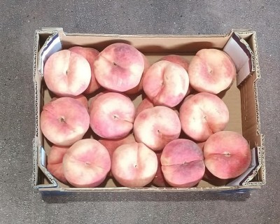 Foto Tabacchiere Varietà Paraguayo Calibro AAA Origine Spagna Marchio Marquesa  3