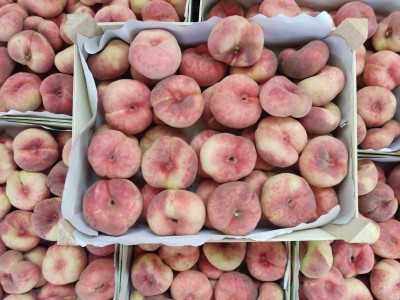 Foto Pesche Tabacchiere Varietà Platibelle Calibro AAA Origine Spagna Marchio Casas Royes 3