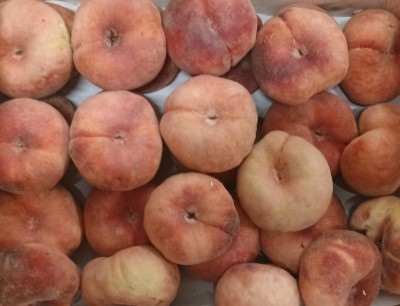 Foto Tabacchiere Varietà Sweet Cup Calibro AAA Origine Spagna Marchio Sabor De Seros      2