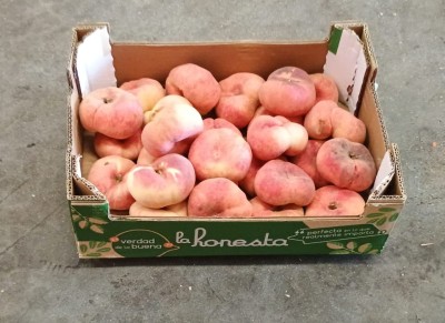 Foto Tabacchiere Varietà Sweet Cup Calibro AAA Origine Spagna Marchio Honesta  1