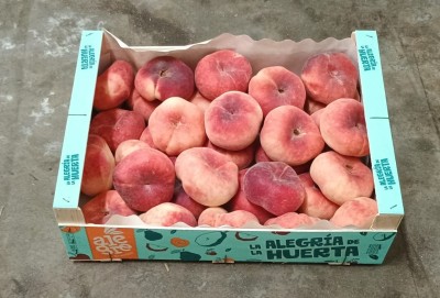 Foto Tabacchiere Varietà Platibelle Calibro AA Origine Spagna Marchio  Huerta  1