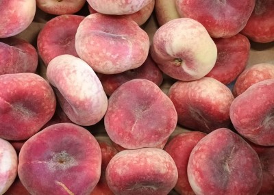 Foto Tabacchiere Varietà Paraguayo Calibro AAA Origine Spagna Marchio Mi Nina 2