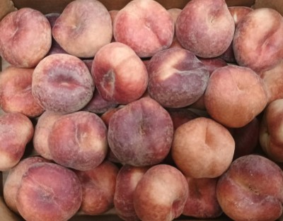 Foto Tabacchiere Varietà Platibelle Calibro AA Origine Spagna Marchio Vallblanca 2