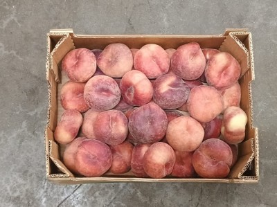 Foto Tabacchiere Varietà Platibelle Calibro AA Origine Spagna Marchio Vallblanca 3