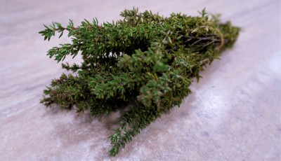 Foto Timo Fresco  A mazzi Origine Italia Marchio Agriroma 2