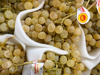 Foto Uva Bianca Aledo Origine Spagna Marchio Battaglio 2