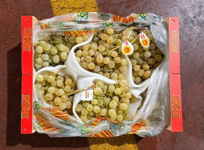 Foto Uva Bianca Aledo Origine Spagna Marchio Battaglio 3