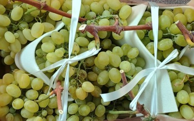 Foto Uva Bianca Varietà Italia Marchio Natura 2