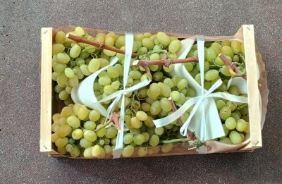 Foto Uva Bianca Varietà Italia Marchio Natura 3