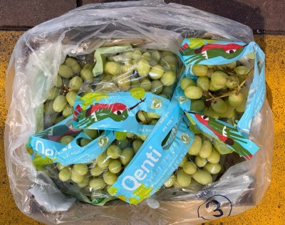 Foto Uva Bianca Varietà Sweet Globe Calibro J Origine Perù Marchio Qenti 3