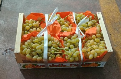 Foto Uva Bianca Varietà Regina Origine Italia Marchio Uva Delle Puglie  1