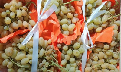 Foto Uva Bianca Varietà Regina Origine Italia Marchio Uva Delle Puglie  2